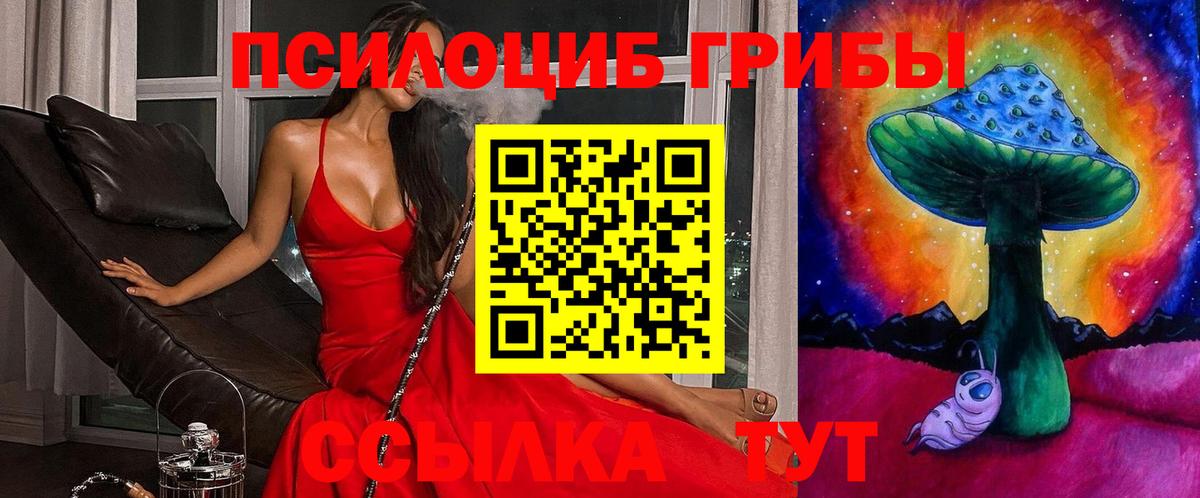 Псилоцибиновые грибы Cubensis  Вход с VPN  купить наркотики сайты  Улан-Удэ  Псилоцибиновые грибы MAGIC MUSHROOMS 